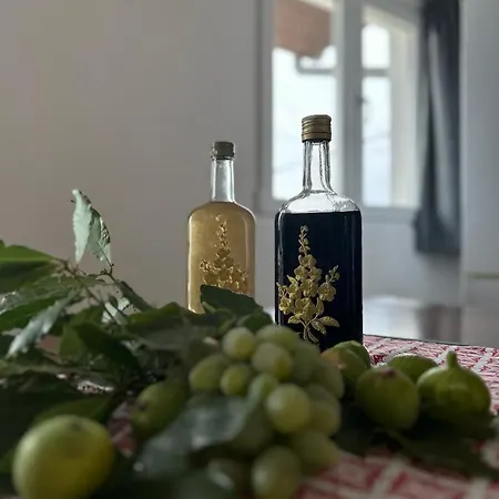 Krolo Otok Ciovo * Trogir