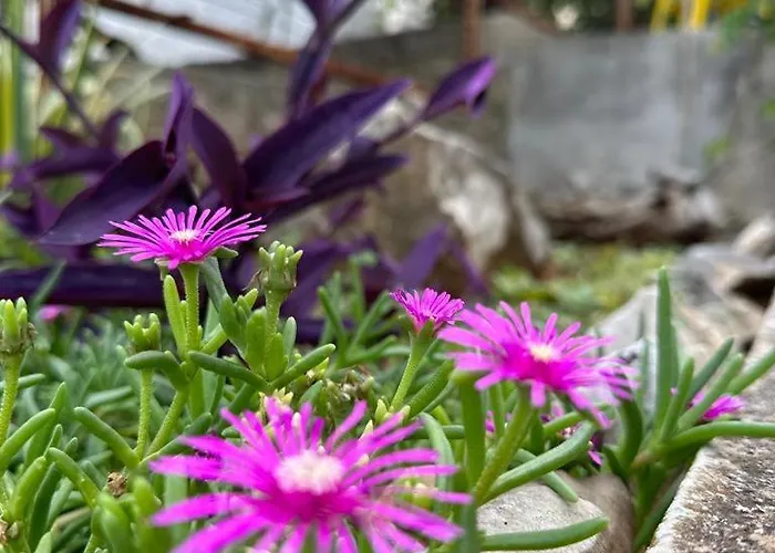 Krolo Otok Ciovo Trogir