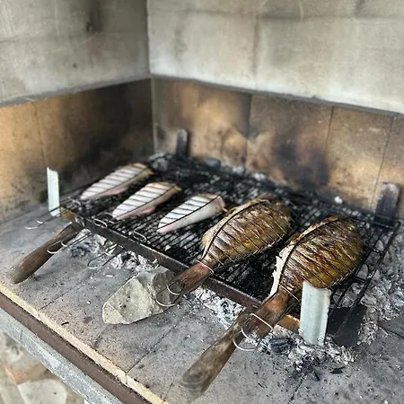 Apartmán Krolo Otok Ciovo *